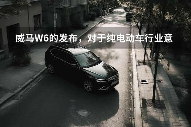 威马W6的发布，对于纯电动车行业意味着什么？