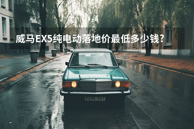 威马EX5纯电动落地价最低多少钱?