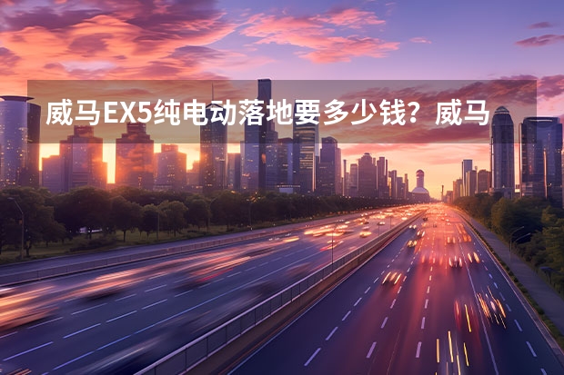 威马EX5纯电动落地要多少钱？威马EX5提车价