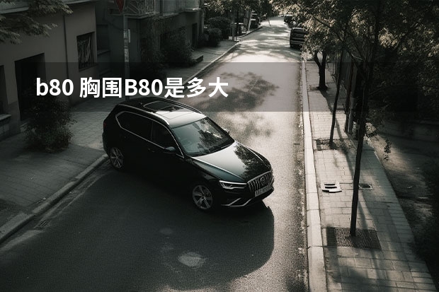 b80 胸围B80是多大