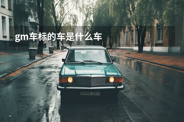 gm车标的车是什么车