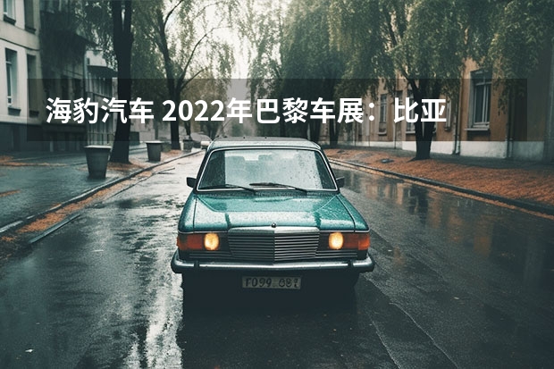 海豹汽车 2022年巴黎车展：比亚迪海豹正式亮相，如何看待比亚迪新车海豹？