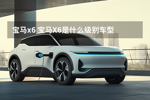 宝马x6 宝马X6是什么级别车型