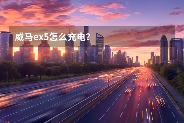 威马ex5怎么充电？