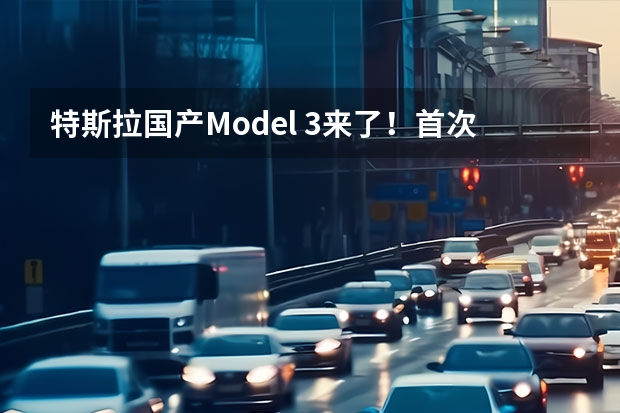 特斯拉国产Model 3来了！首次采用磷酸铁锂电池 不做盲从者，从奕泽E进擎看丰田的电动哲学