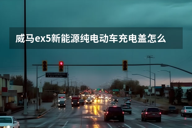 威马ex5新能源纯电动车充电盖怎么关