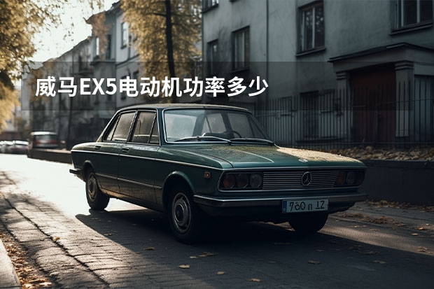 威马EX5电动机功率多少