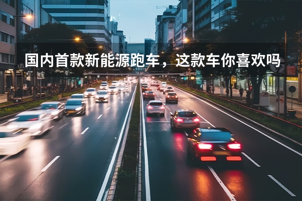 国内首款新能源跑车，这款车你喜欢吗？