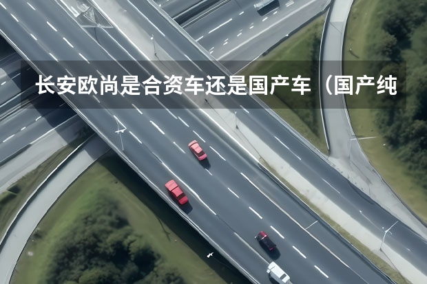 长安欧尚是合资车还是国产车（国产纯电SUV，长安欧尚科尚EV）