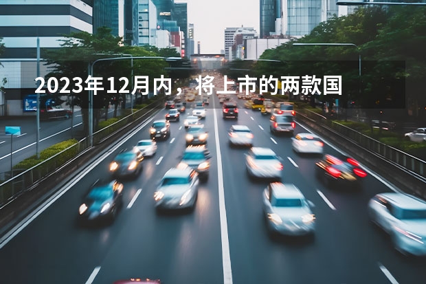 2023年12月内，将上市的两款国产新能源SUV新车（奇瑞瑞虎7 PLUS 新能源上市，挂绿牌14.99万元起）