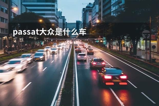 passat大众是什么车