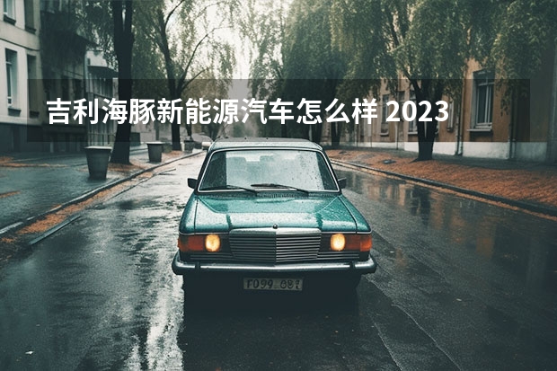 吉利海豚新能源汽车怎么样 2023年最值得买的新能源汽车