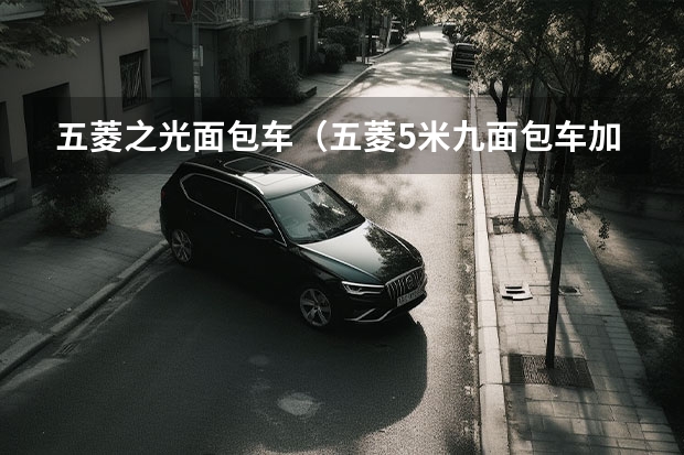 五菱之光面包车（五菱5米九面包车加长版价格）