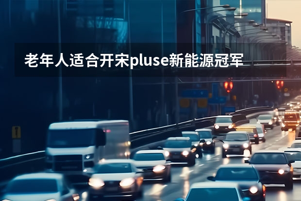 老年人适合开宋pluse新能源冠军版吗