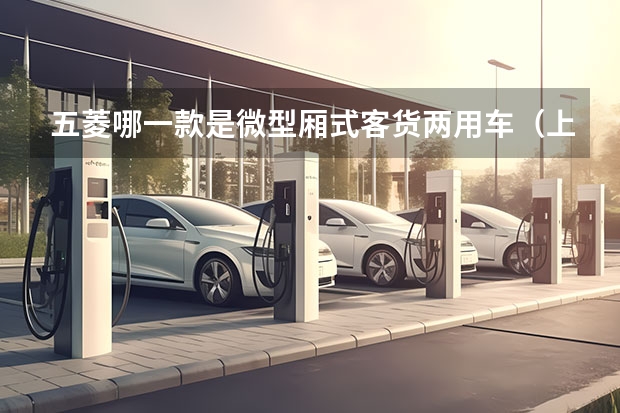 五菱哪一款是微型厢式客货两用车（上海通用五菱小货车 报价 型号）