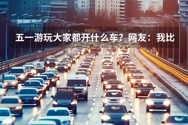 五一游玩大家都开什么车？网友：我比亚迪，你们随意