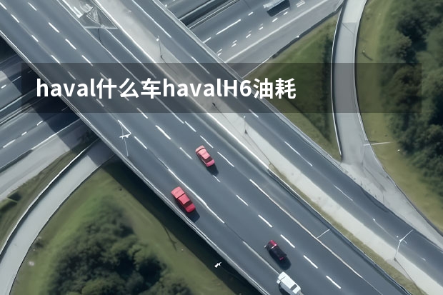 haval什么车havalH6油耗多少