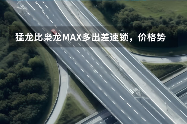 猛龙比枭龙MAX多出差速锁，价格势必更高，有必要选它吗？