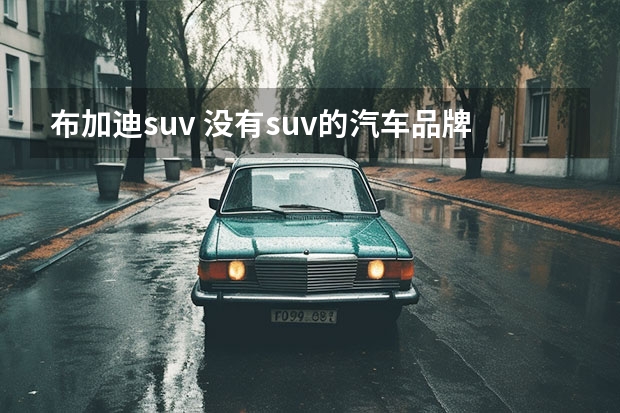 布加迪suv 没有suv的汽车品牌