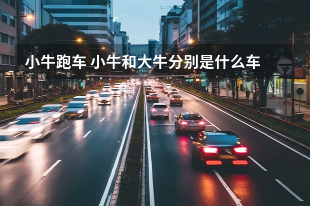 小牛跑车 小牛和大牛分别是什么车