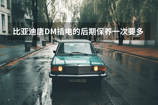 比亚迪唐DM插电的后期保养一次要多少钱，按照什么标准？