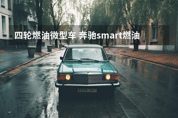 四轮燃油微型车 奔驰smart燃油版价格 奔驰smart燃油版价格