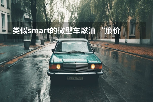 类似smart的微型车燃油 “廉价版”smart精灵#1？凯翼2款微型电动车惊到我了