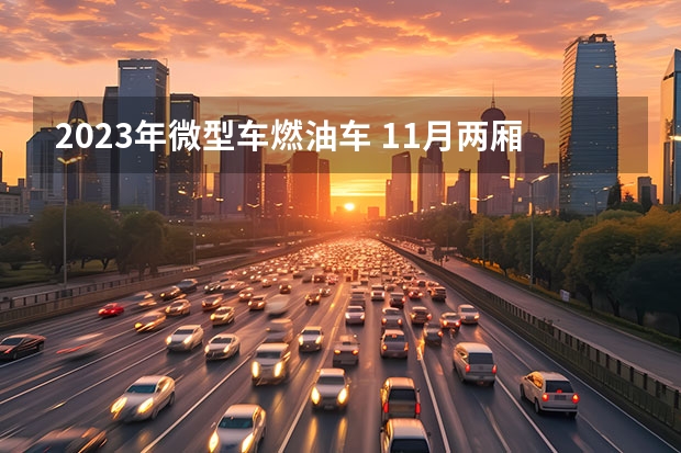 2023年微型车燃油车 11月两厢车销量排行出炉，车型细分为：微型，小型，紧凑级