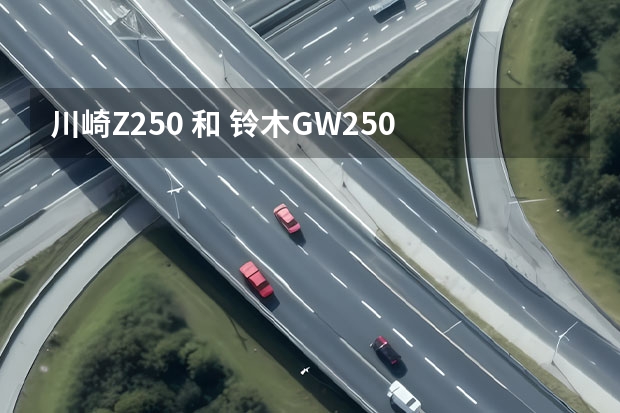 川崎Z250 和 铃木GW250 怎么选