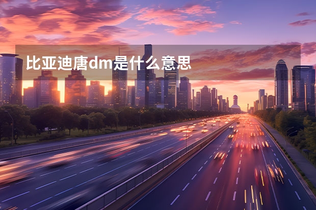 比亚迪唐dm是什么意思