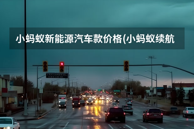 小蚂蚁新能源汽车款价格(小蚂蚁续航400公里款落地价)（女士新能源小型车）