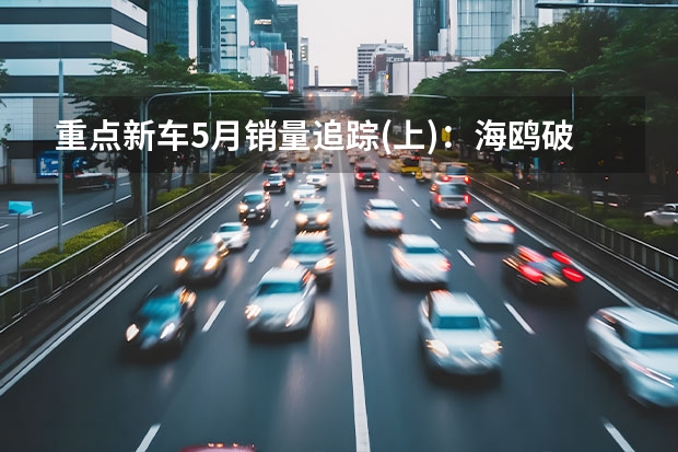 重点新车5月销量追踪(上)：海鸥破8千，逸达不到4千（女士小汽车2至3万）