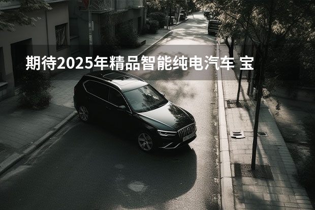 期待2025年精品智能纯电汽车 宝马计划到2025年将推9款新电动车，宝马iX1/3系纯电等