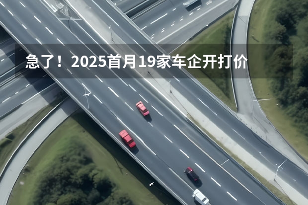 急了！2025首月19家车企开打价格战，有车企直降18万 2025价格战开打：近40家汽车品牌降价，最高降幅十几万