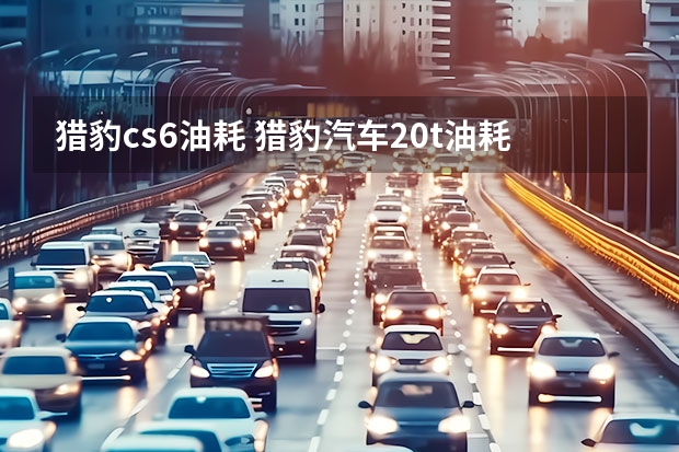 猎豹cs6油耗 猎豹汽车2.0t油耗多少钱一公里？