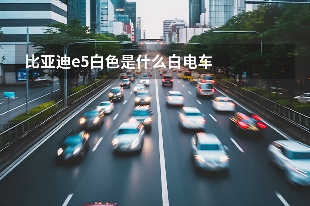 比亚迪e5白色是什么白电车