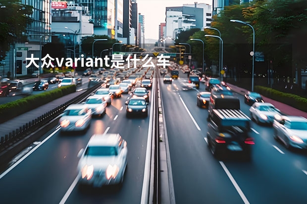 大众variant是什么车