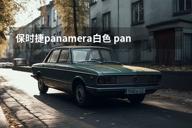 保时捷panamera白色 panamera是什么车？