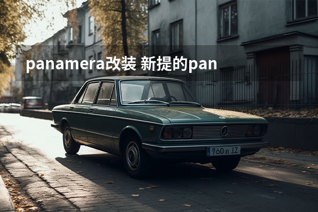 panamera改装 新提的panamera,想改SD包围,有什么改装厂可以介绍一下？