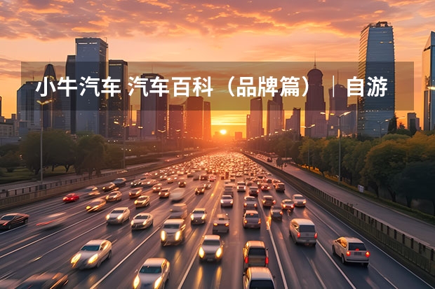 小牛汽车 汽车百科（品牌篇）｜自游家