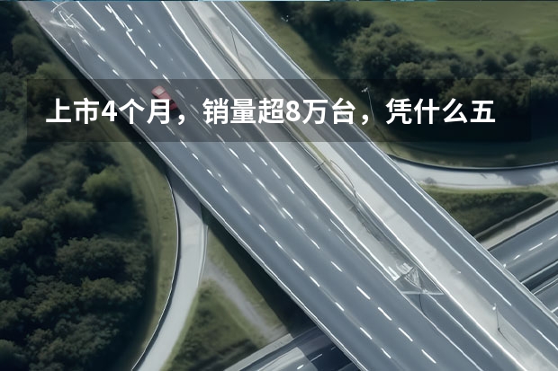 上市4个月，销量超8万台，凭什么五菱缤果能上市即走红？