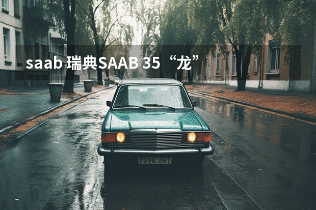 saab 瑞典SAAB 35“龙”式战斗机