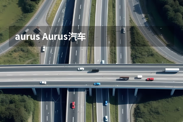 aurus Aurus汽车