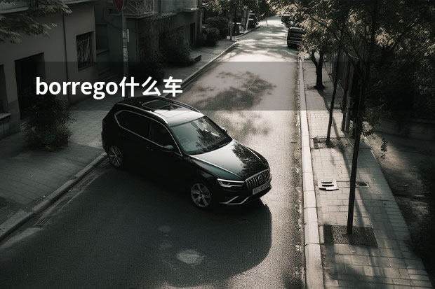 borrego什么车