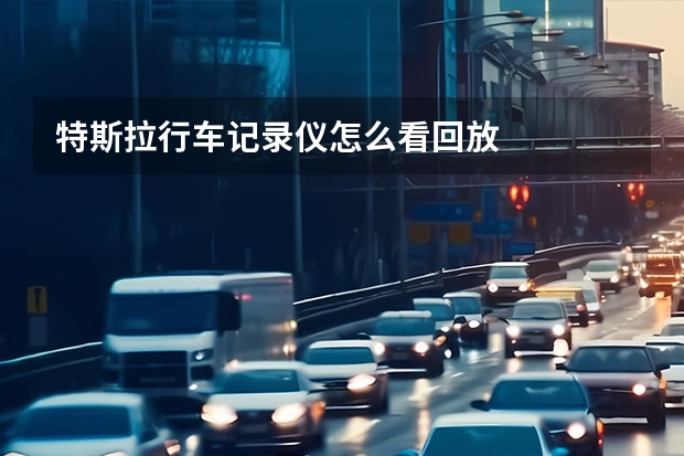 特斯拉行车记录仪怎么看回放