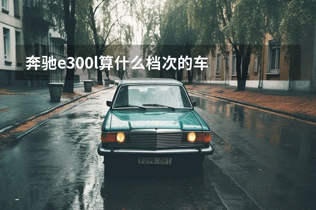 奔驰e300l算什么档次的车