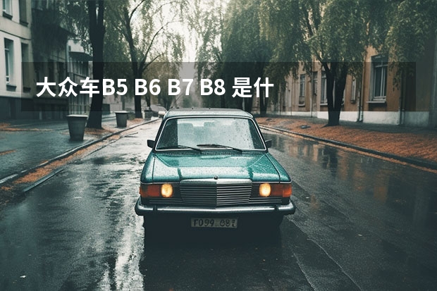 大众车B5 B6 B7 B8 是什么意思