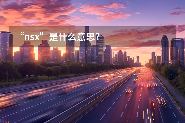 “nsx”是什么意思?