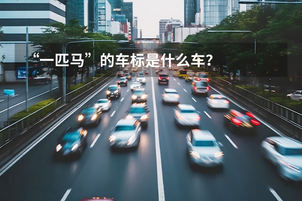 “一匹马”的车标是什么车？