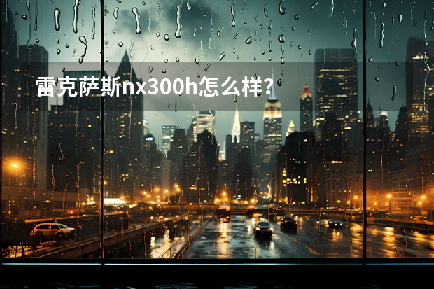 雷克萨斯nx300h怎么样？